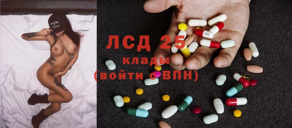 шишки Нея
