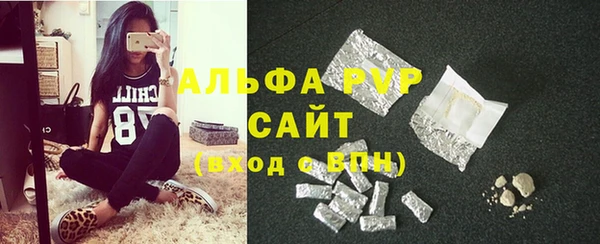 шишки Нея