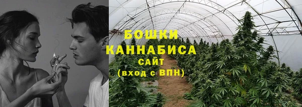 шишки Нея