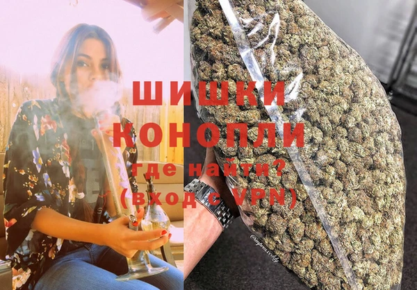 шишки Нея