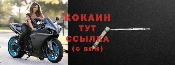 шишки Нея