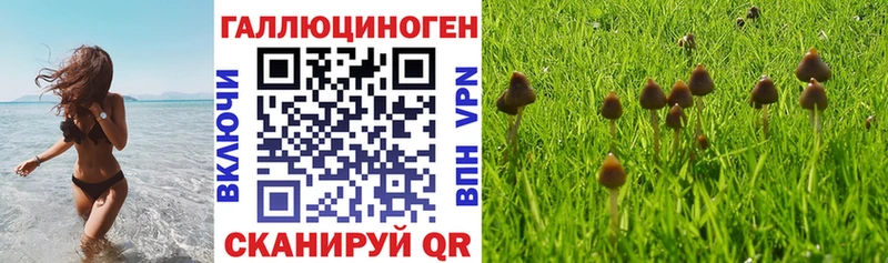 Псилоцибиновые грибы MAGIC MUSHROOMS  Купить закладки  Карасук 